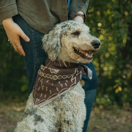 Sacred Heart Lightning Storm Bandana - Adventure Handkerchie
